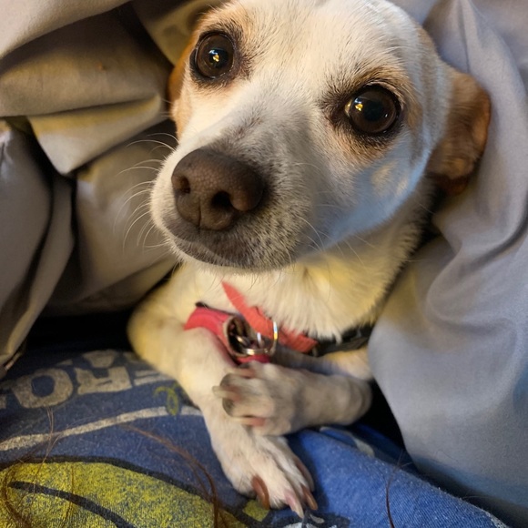 Me my sweet Luna passed this year - Picture 1 of 2